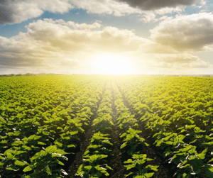 ZIVAN at Agritechnica